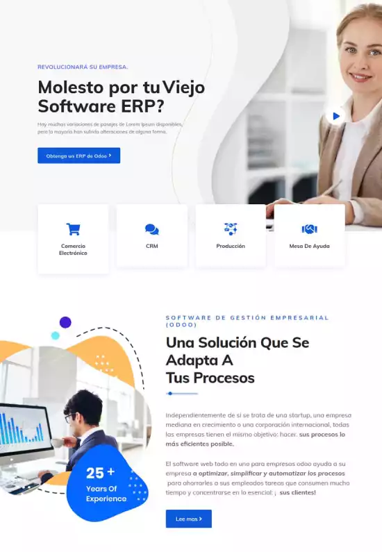 Vista previa de ERP Connect
