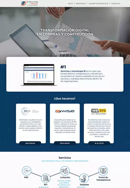 Vista previa de E-Sourcing