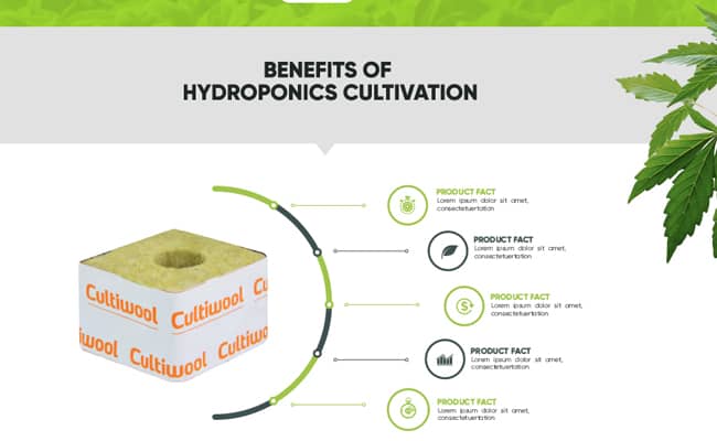 CultiWool imagen 2