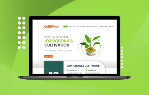 Proyecto CultiWool