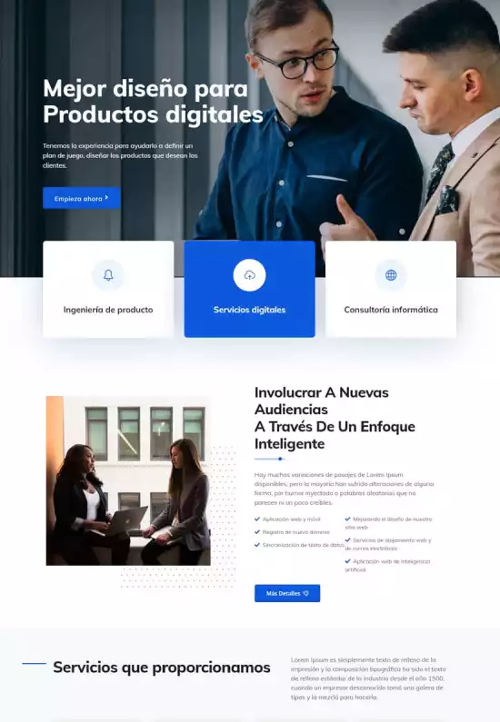 Vista previa de Consultoría Xpress